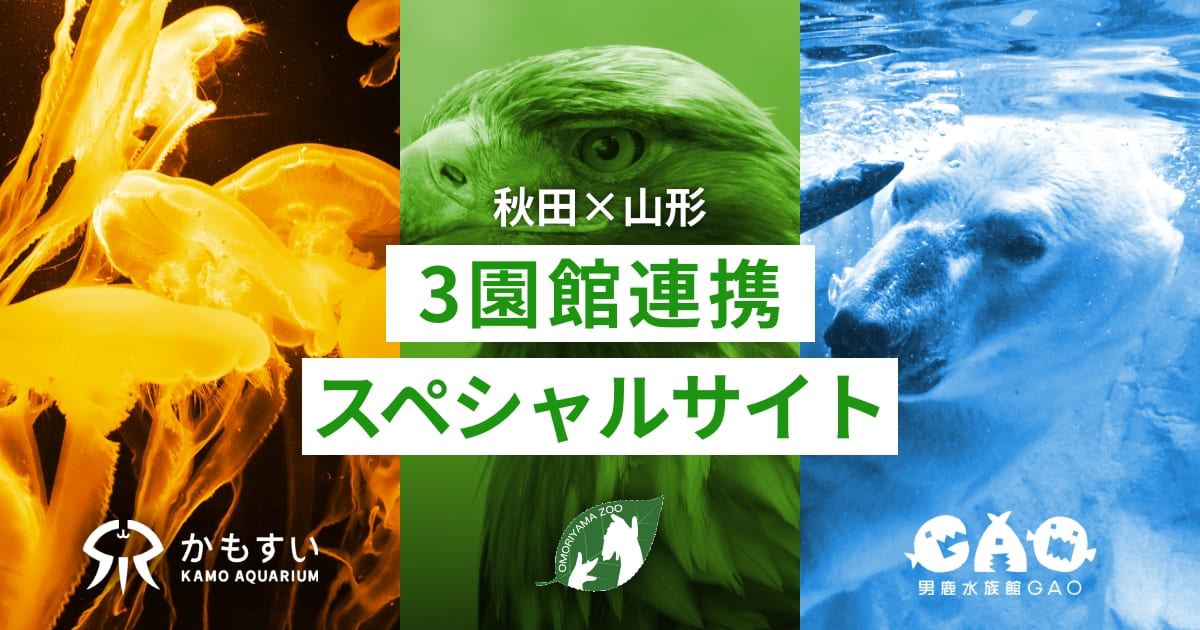 スタンプラリー – 男鹿水族館GAO