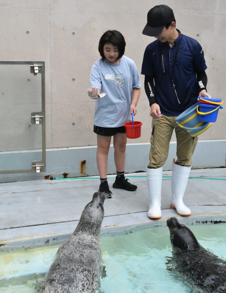 GAOで体験！近くで発見！生きものプログラムの様子 3枚目