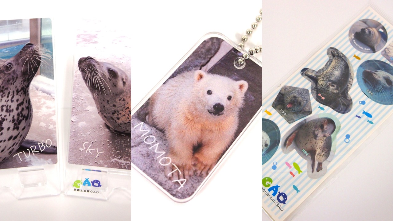 新商品のお知らせ（ゴマフアザラシグッズ、モモ太グッズ） – 男鹿水族館GAO