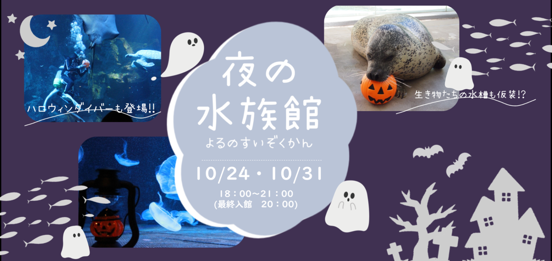 男鹿水族館GAO 夜の水族館