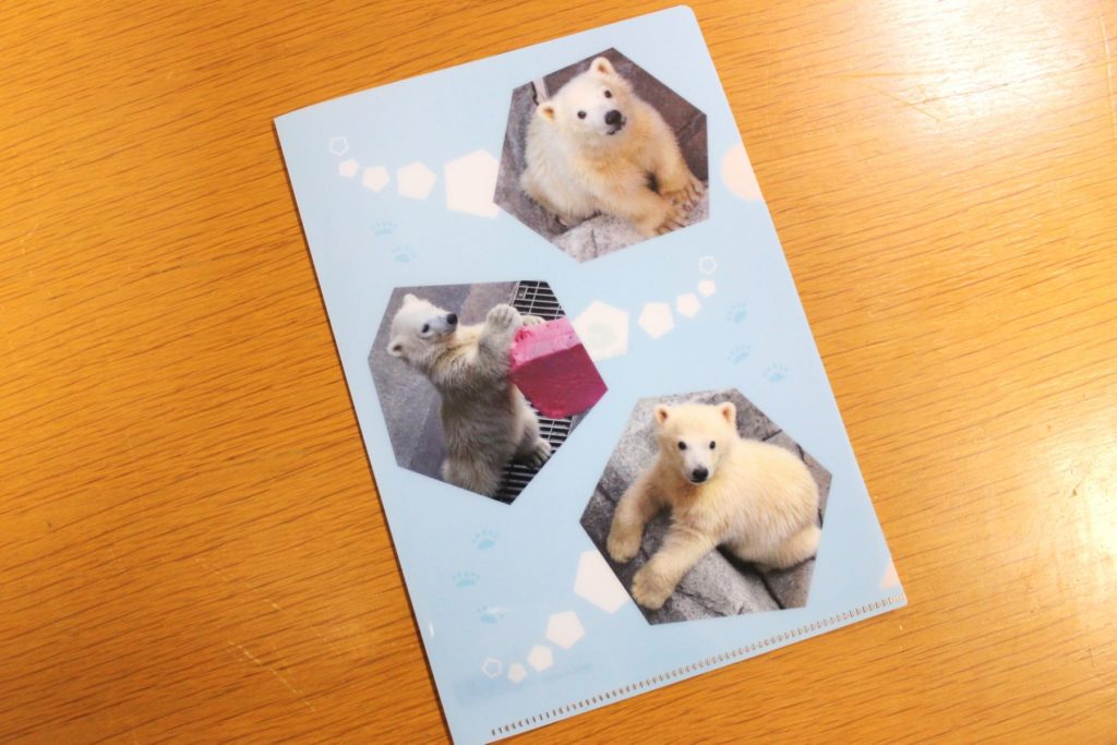新商品のお知らせ（モモ太グッズ、アザラシグッズ） – 男鹿水族館GAO